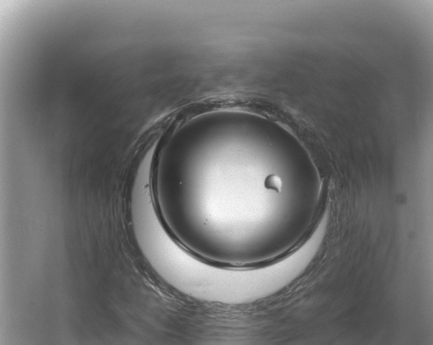 X0000064731206200602131241