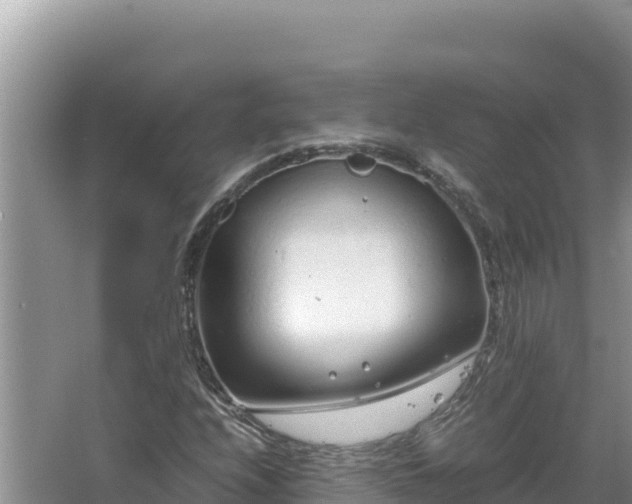 X0000064731208200602131241