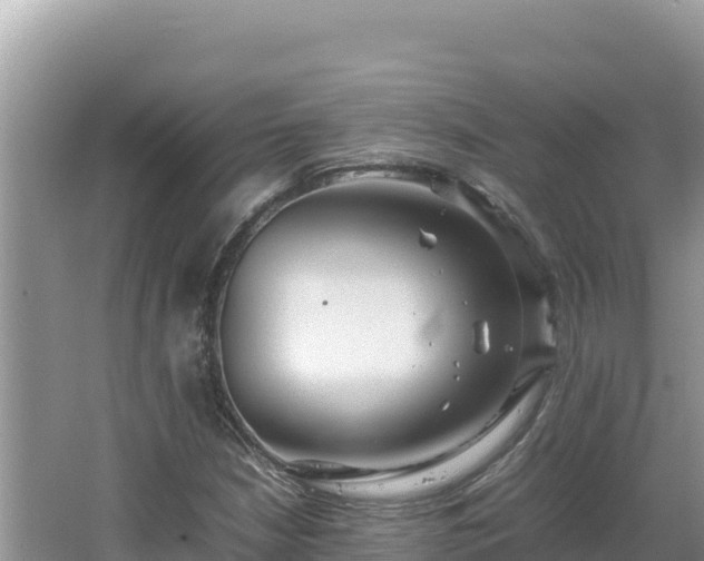 X0000064731210200602131241