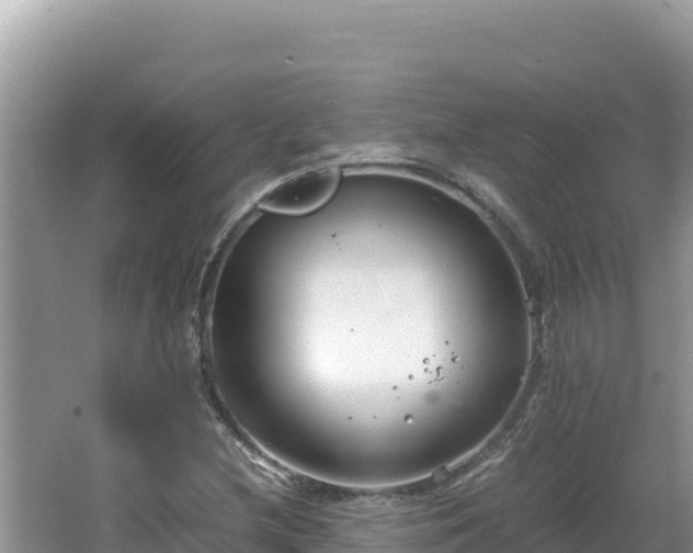 X0000064731212200602131241