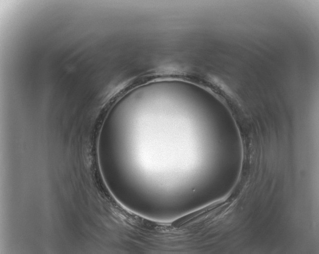 X0000064731213200602131241