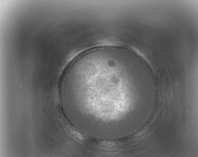 X0000064731215200602131241