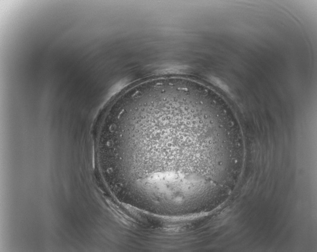 X0000064731219200602131241