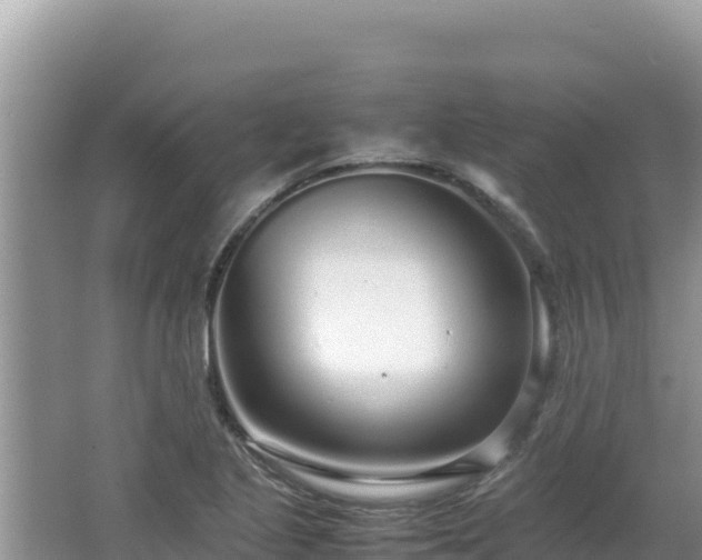 X0000064731221200602131241