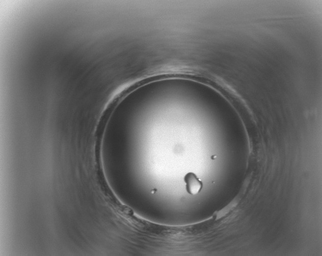 X0000064731222200602131241