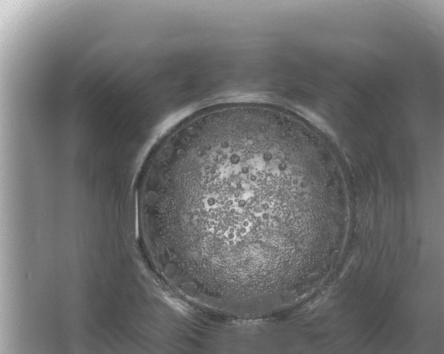 X0000064731223200602131241