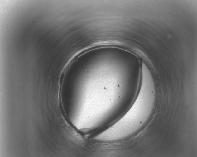 X0000064731228200602131242