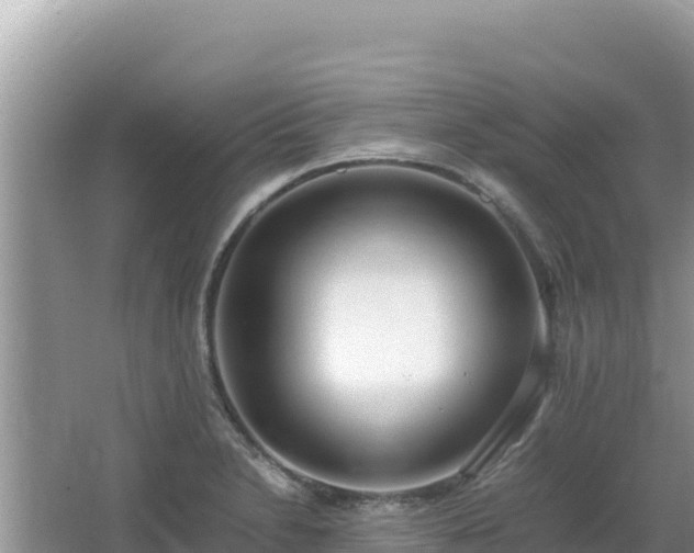 X0000064731230200602131242