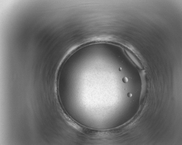 X0000064731232200602131242