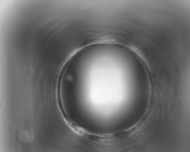 X0000064731237200602131242