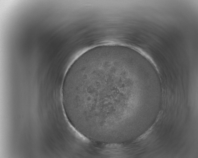 X0000064731239200602131242