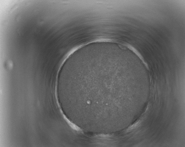 X0000064731245200602131242