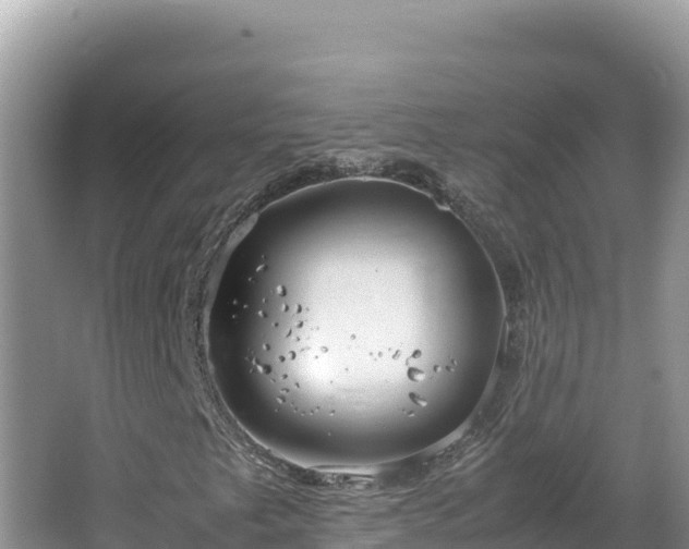 X0000064731249200602131241