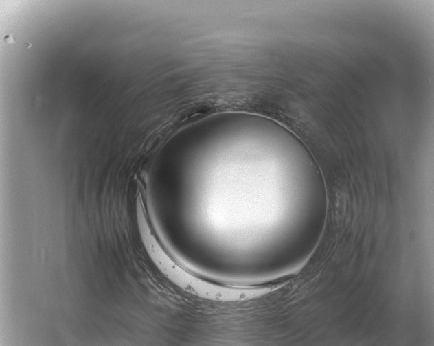 X0000064731250200602131241