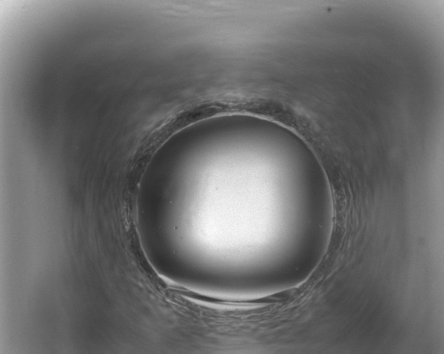 X0000064731253200602131241