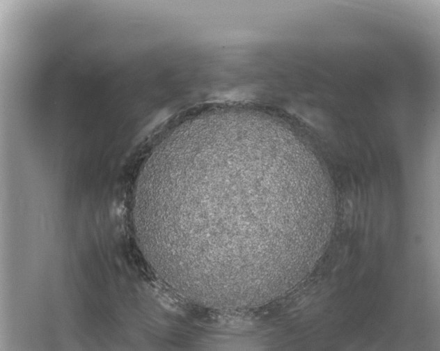 X0000064731254200602131241