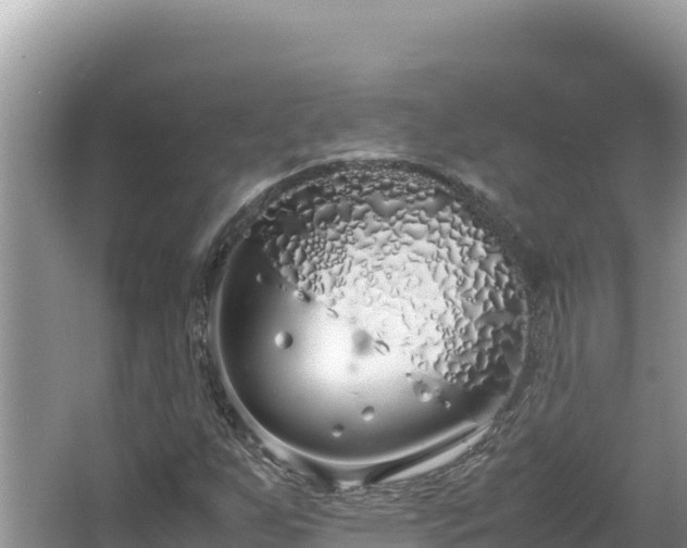 X0000064731255200602131241