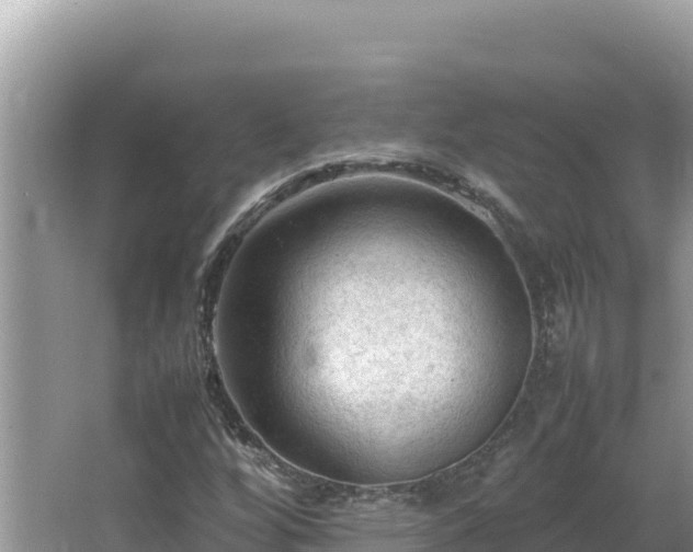 X0000064731256200602131241