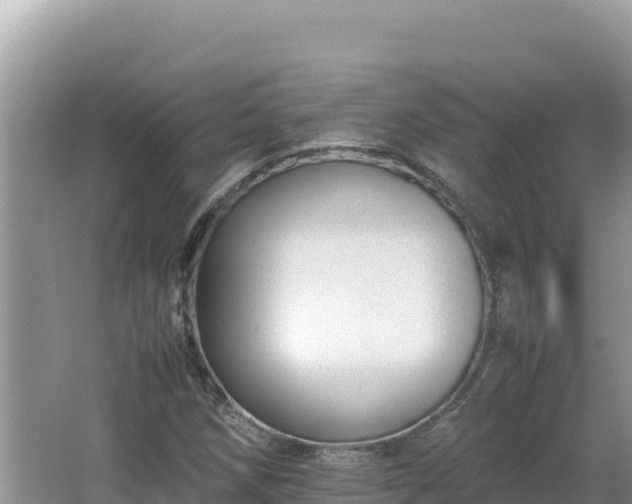 X0000064731258200602131241