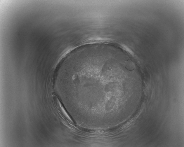 X0000064731259200602131241