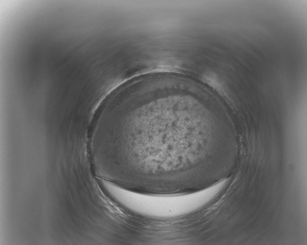 X0000064731260200602131241