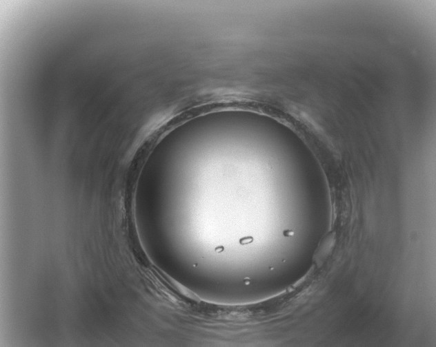 X0000064731261200602131241