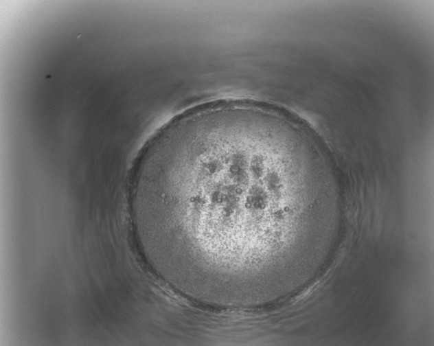 X0000064731263200602131241