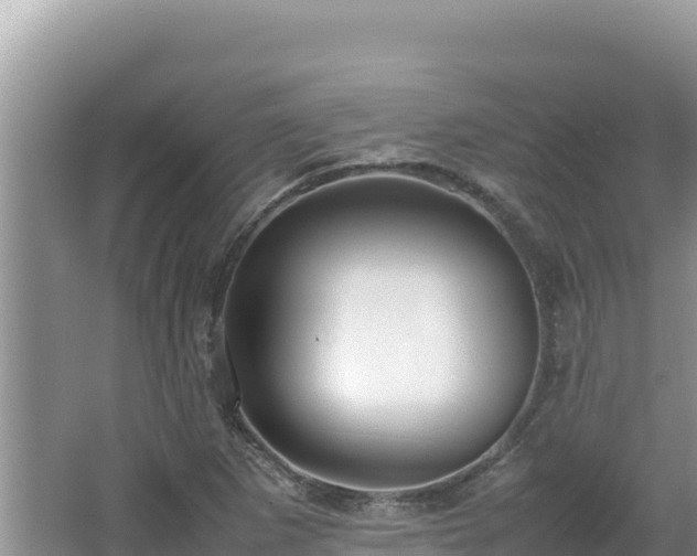 X0000064731265200602131241