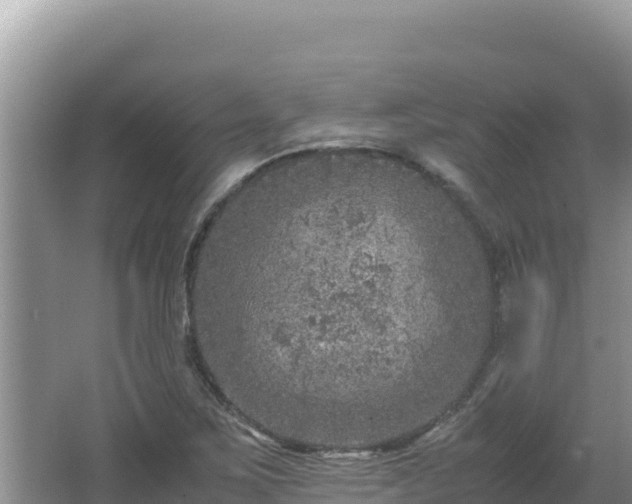 X0000064731267200602131241