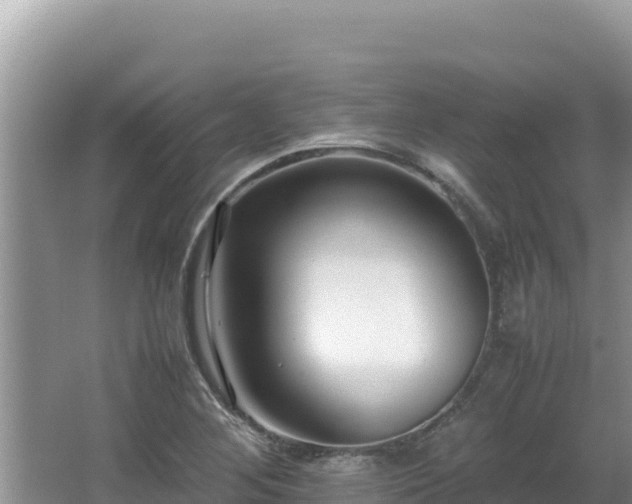 X0000064731268200602131241