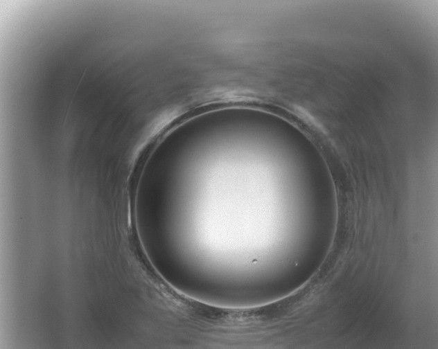 X0000064731269200602131241