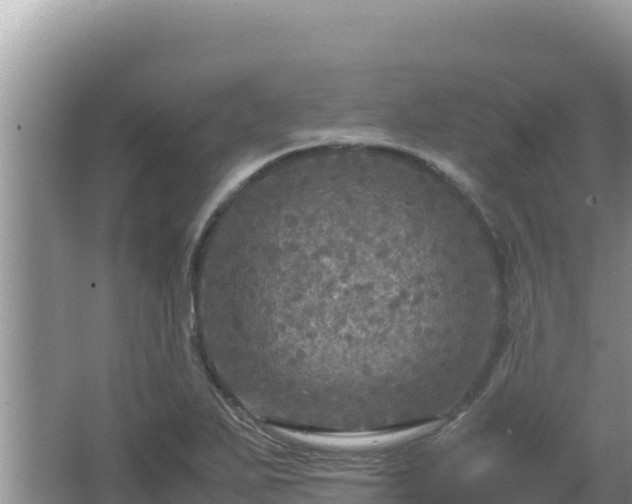 X0000064731271200602131241