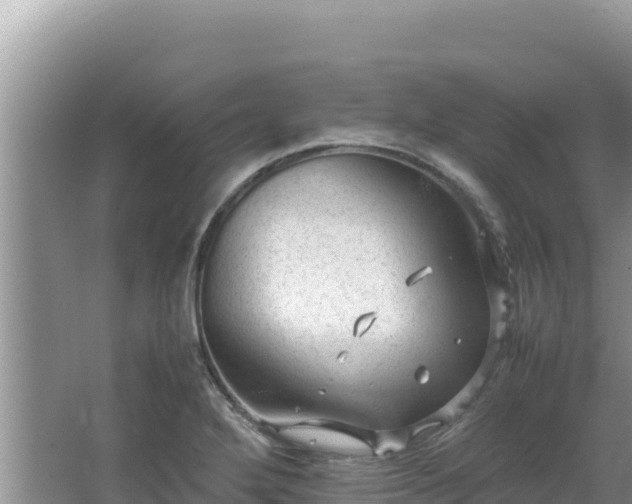 X0000064731272200602131241