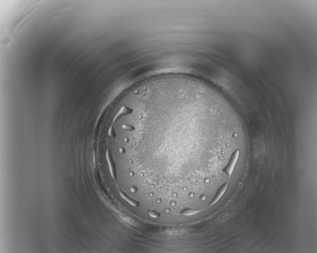 X0000064731274200602131241