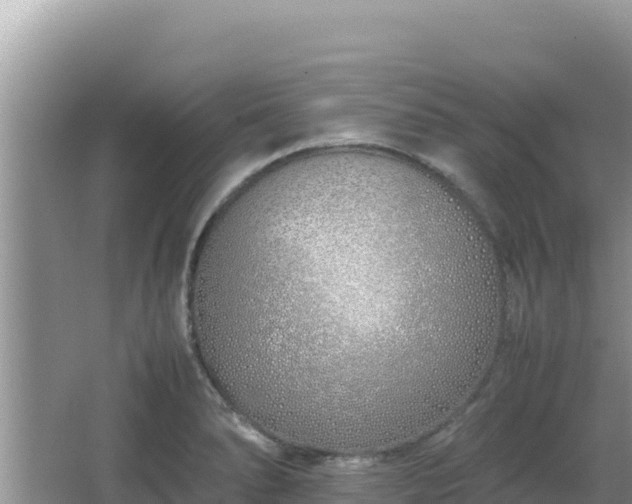 X0000064731278200602131241