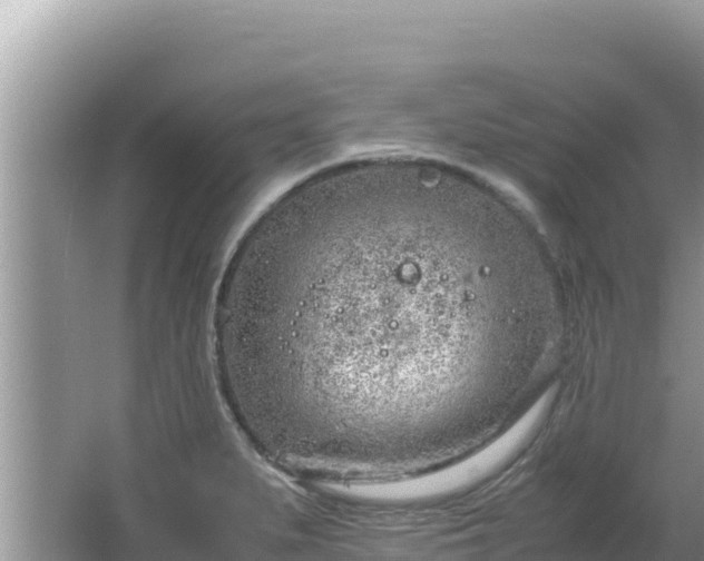 X0000064731279200602131241