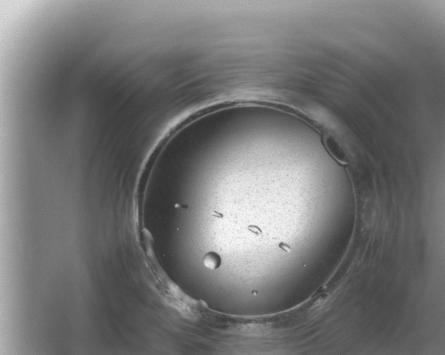 X0000064731280200602131241