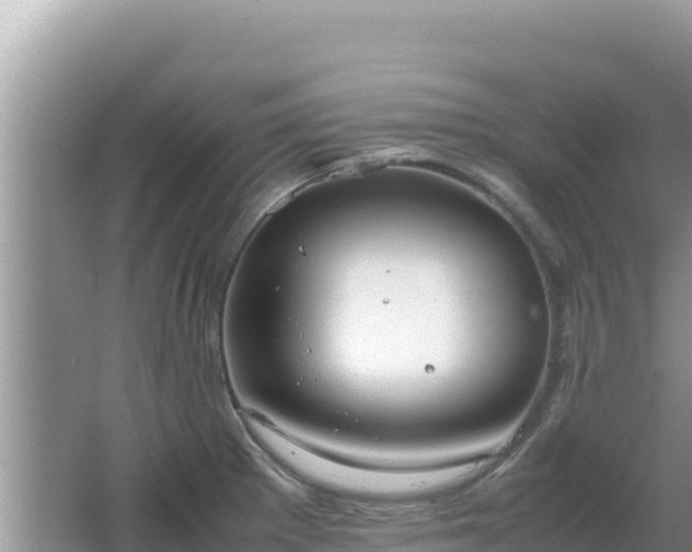 X0000064731281200602131241