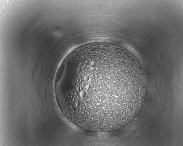 X0000064731283200602131240