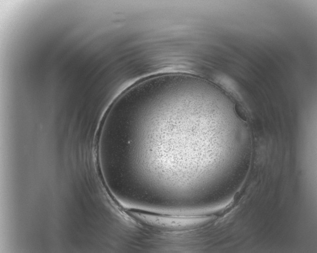 X0000064731284200602131240