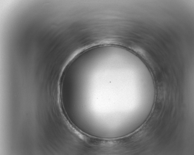 X0000064731286200602131240