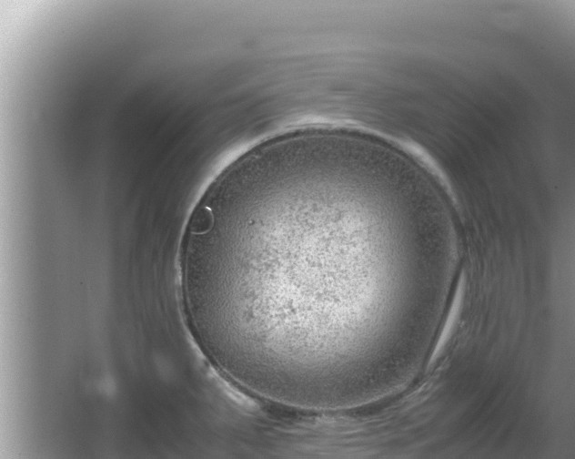 X0000064731287200602131240