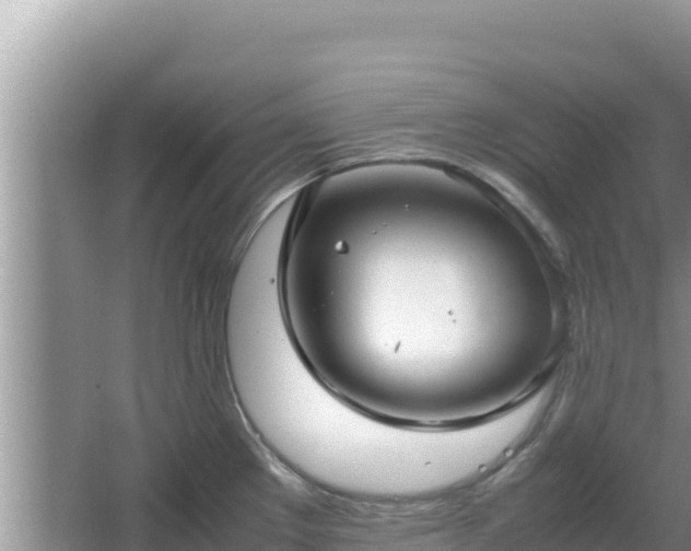 X0000064731289200602131240