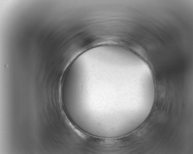 X0000064731290200602131240