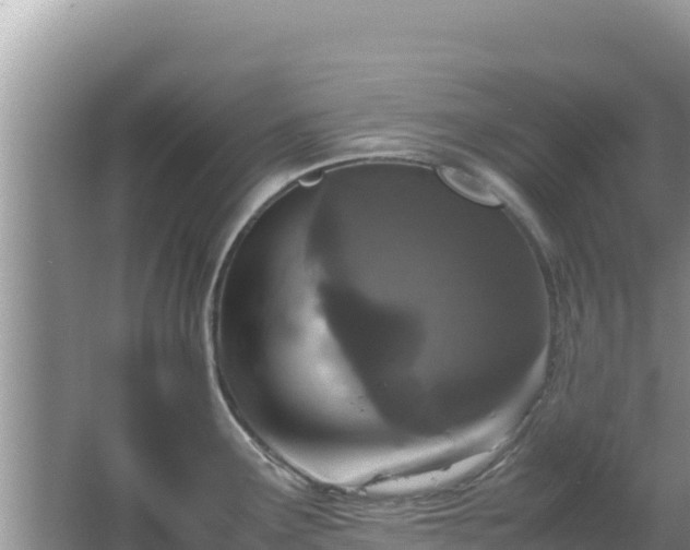 X0000064731291200602131240