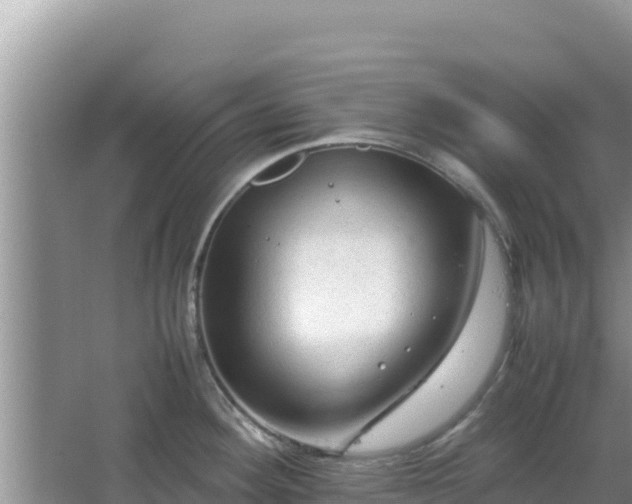 X0000064731292200602131240