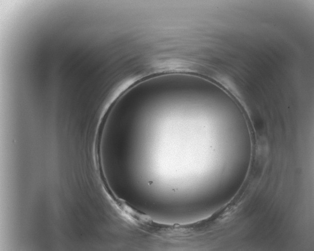 X0000064731293200602131240