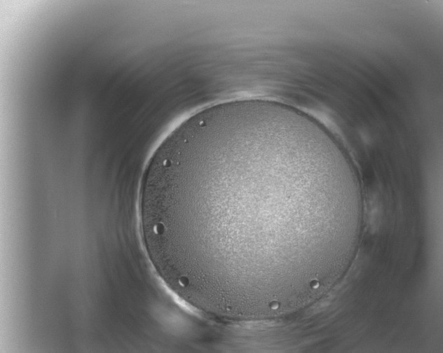 X0000064731294200602131240