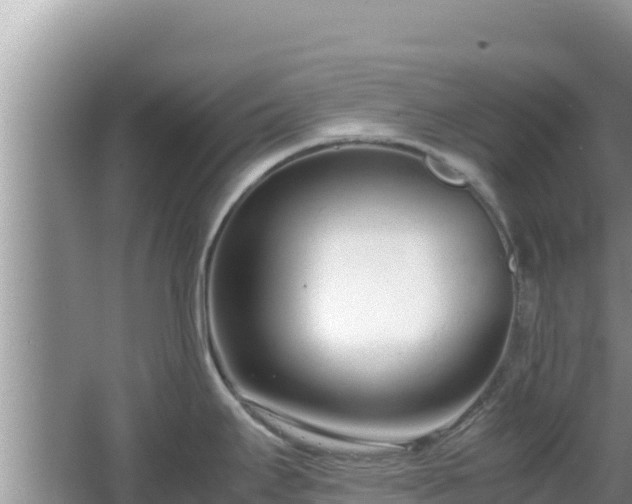 X0000064731295200602131240