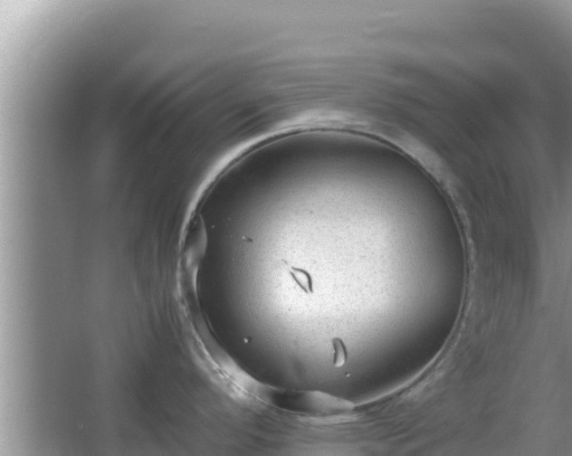 X0000064731296200602131240